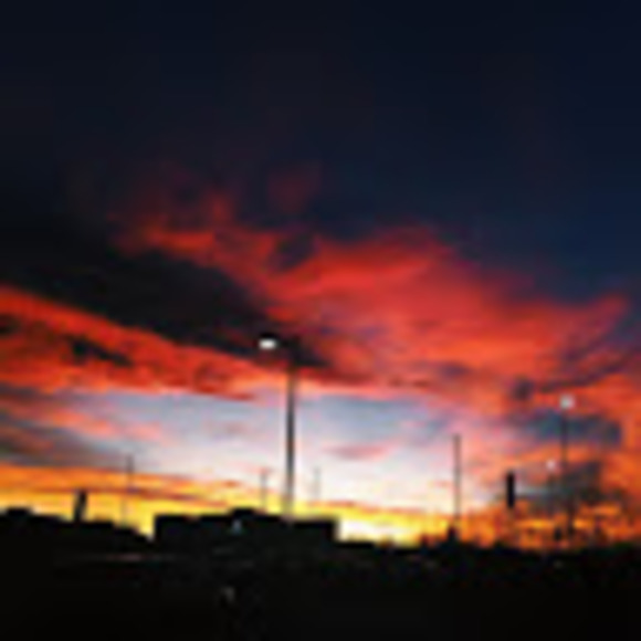 Meet your Posher, Madi - Picture 1 of 1